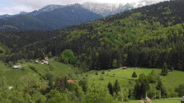 Дома для отпуска Casuta Bunicii Бран-20